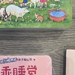 Ordering Chinese Books from Jing Dong